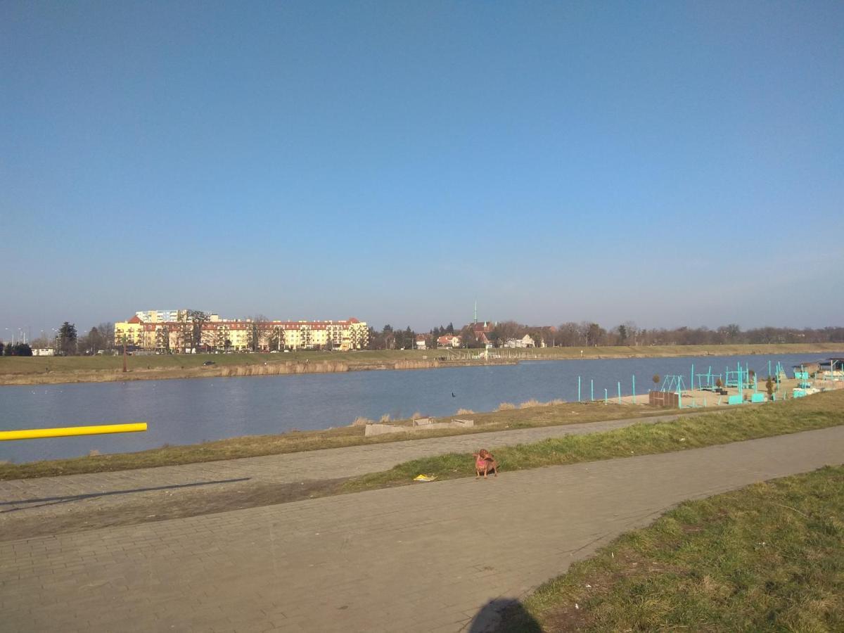 Apartament NightHost- Trzebnicka 84 Wrocław Zewnętrze zdjęcie